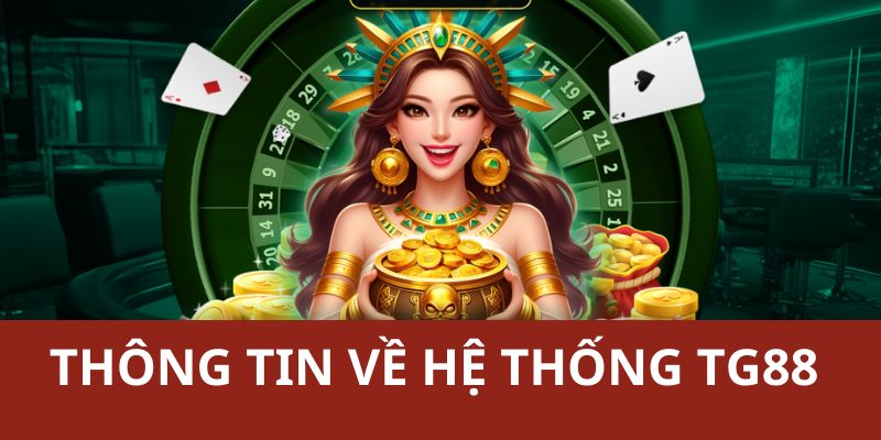 Khái quát thông tin về nhà cái chất lượng của Ceo Trần Hạo Thắng 