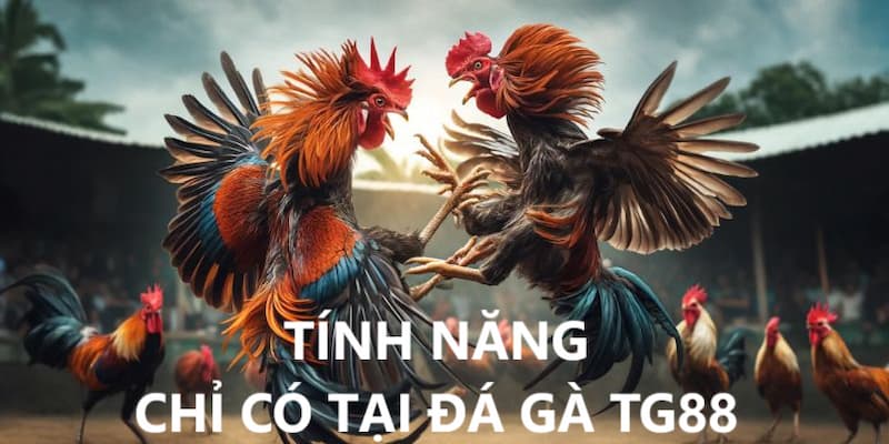 Chọi gà Tg88 sở hữu những tính năng độc quyền