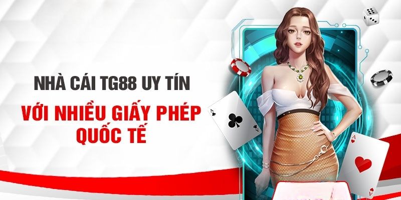 Giới thiệu TG88 về các loại giấy phép hoạt động