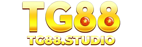 tg88.studio