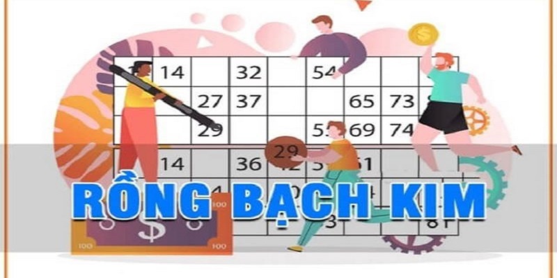 Lợi ích khi soi cầu tại rồng bạch kim