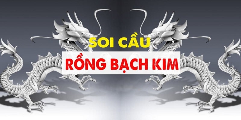 Rồng Bạch Kim - Công Cụ Dự Đoán Xổ Số Chính Xác Và Hiệu Quả